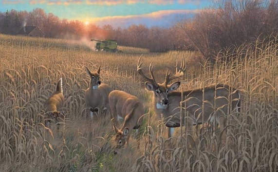 framed deer art