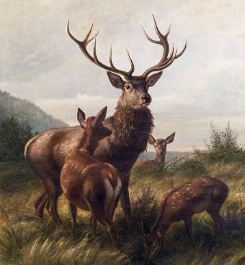 large deer painting