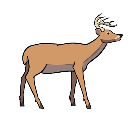 animated deer