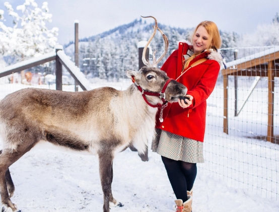 reindeer feeding near me