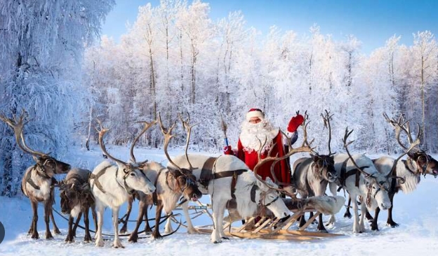 how many reindeer are there