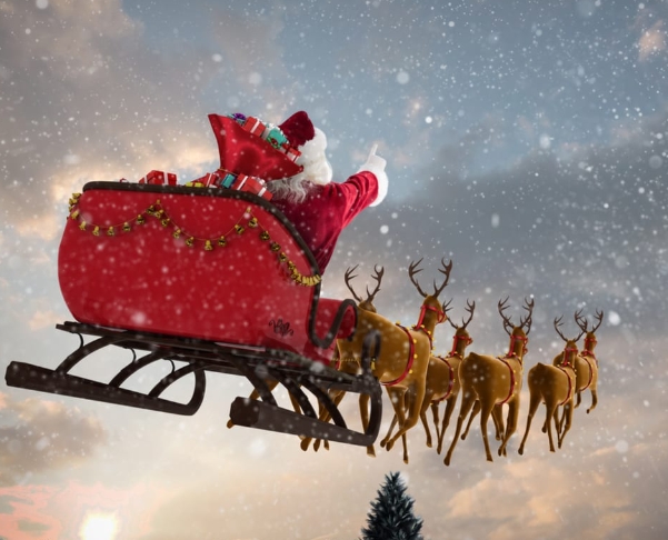 which reindeer is named after thunder