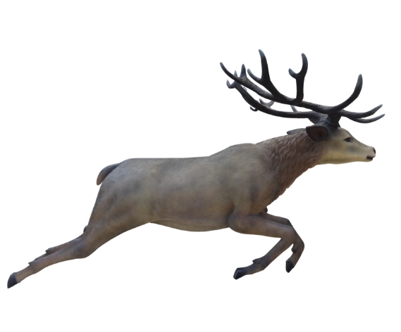 reindeer flying images