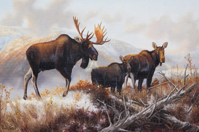 A Celebration of Nature and Creativity