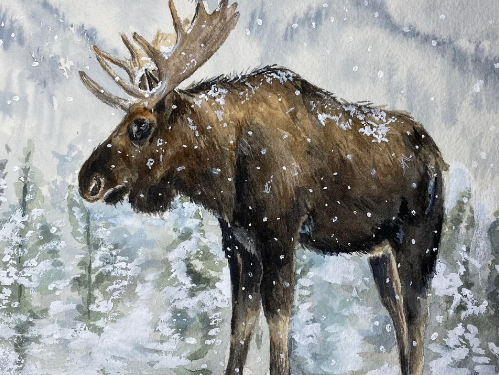 A Celebration of Nature’s Beauty