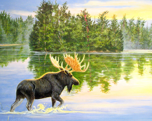 A Creative Adventure