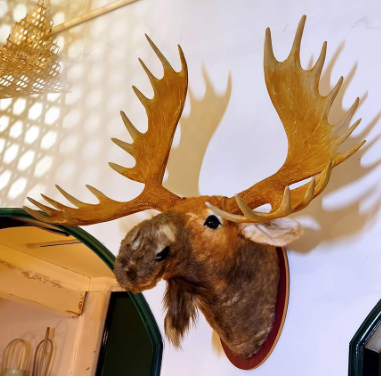A Stunning Addition to Your Decor