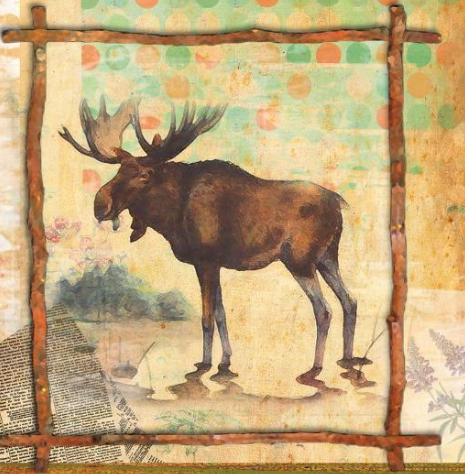 A Unique Canvas of Nature