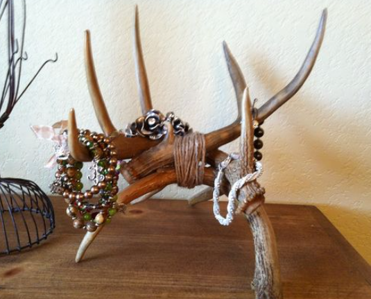 Benefits of Incorporating Antler Décor in Your Home