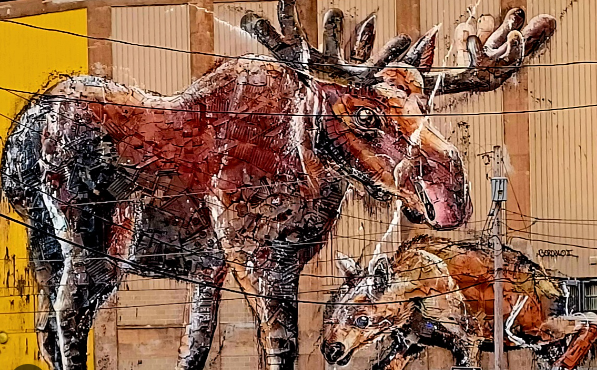  Bringing Moose Art to Life in Your Community