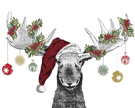 Captivating Designs for Every Style