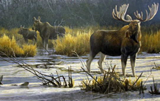 Caring for Your Bateman Moose Print