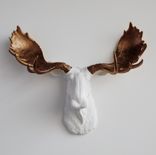 Caring for Your Resin Moose Head