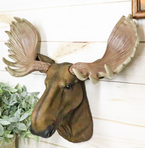 Caring for Your Resin Moose Head2
