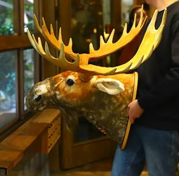 Choosing the Right Moose Head for Your Space