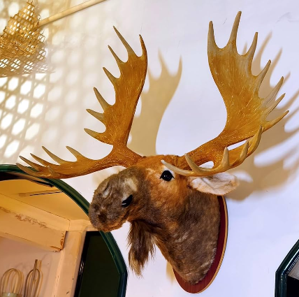 Choosing the Right Moose Sculpture for Your Space