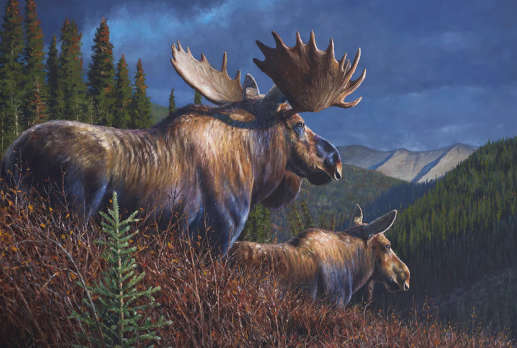 Connecting with Nature Through Bull Moose Art