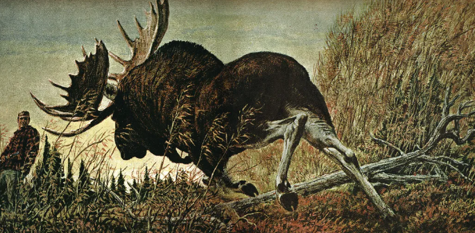 Connecting with Nature Through Bull Moose Art2
