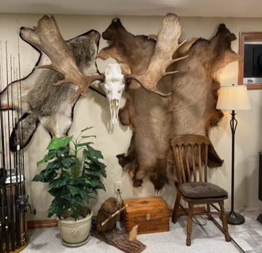 Creative Design Ideas