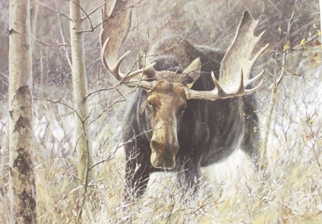 Cultural Significance and Conservation Efforts