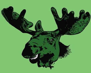 Decorating with Moose Green