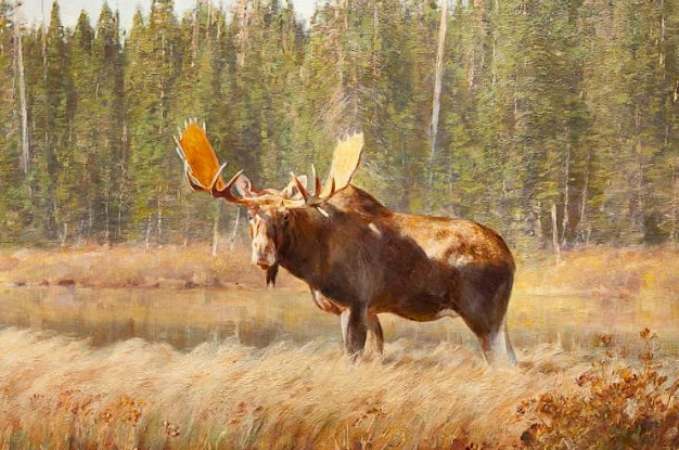 Different Artistic Interpretations