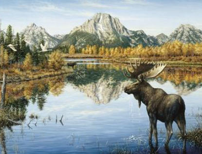 Different Styles of Moose Artwork