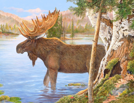 Discover the World of These Majestic Creatures