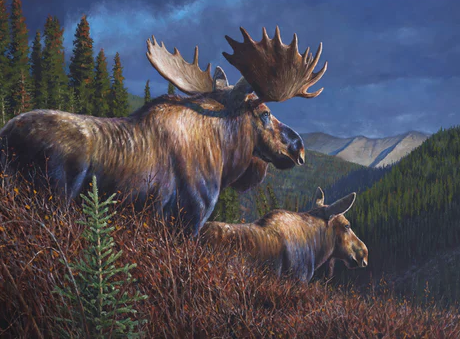  Diverse Artistic Representations