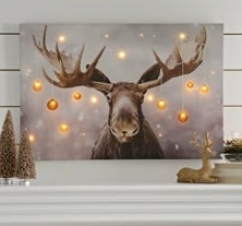 Easy to Display and Store