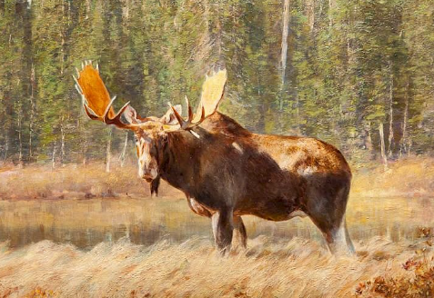 Embrace the Moose Art Movement