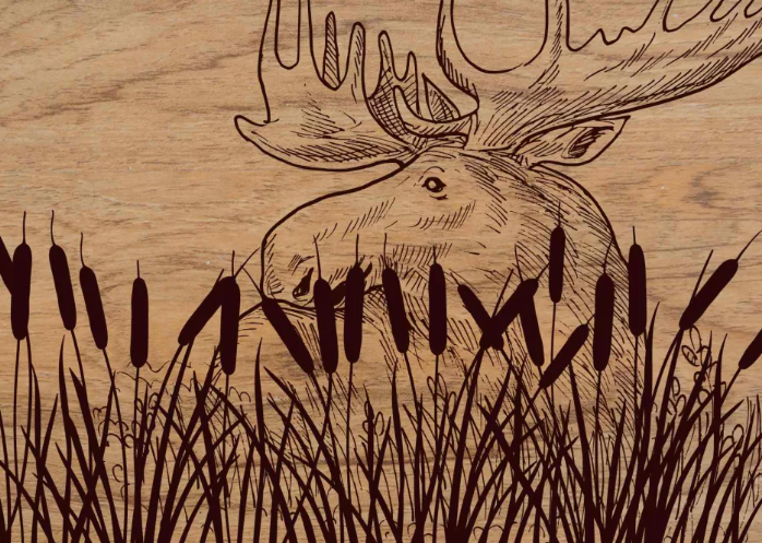 Embracing Sustainability Through Art