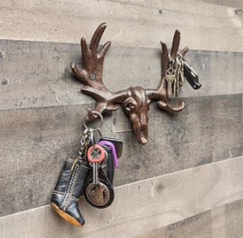 Enhancing Your Space with Moose Antlers