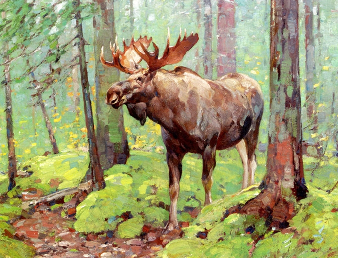 Exploring the Art of Moose Oil Painting1