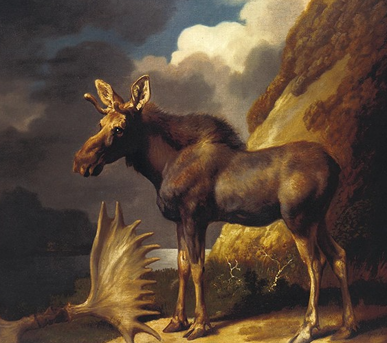 Exploring the Art of Moose Painting