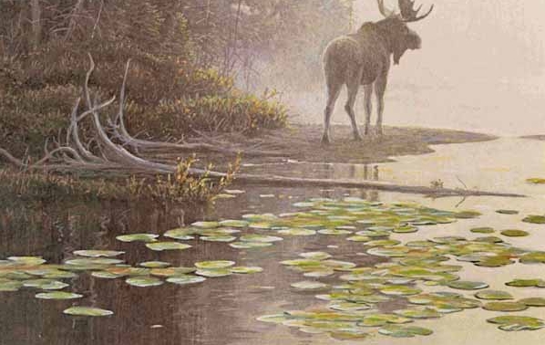 Exploring the World of Robert Bateman's Moose Prints