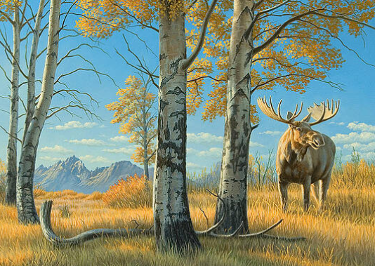 Incorporating Moose Art into Your Life