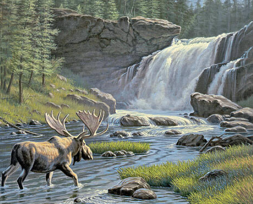 Incorporating Moose Art into Your Life2