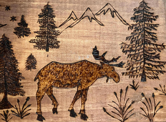 Moose Pyrography