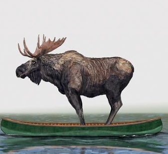 Moose in Contemporary Art