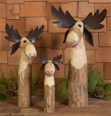 Nature’s Artistry in Your Home