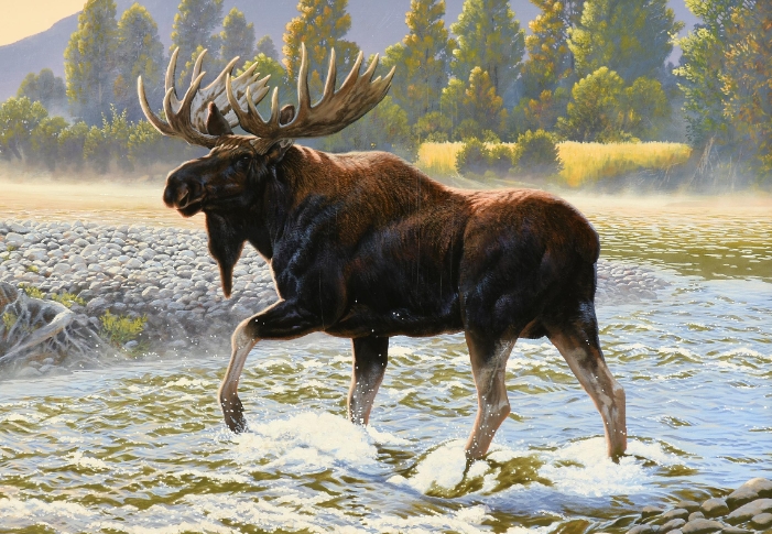 Painting a Moose