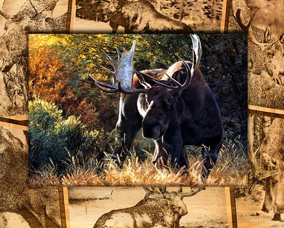 Choosing the Right Frame