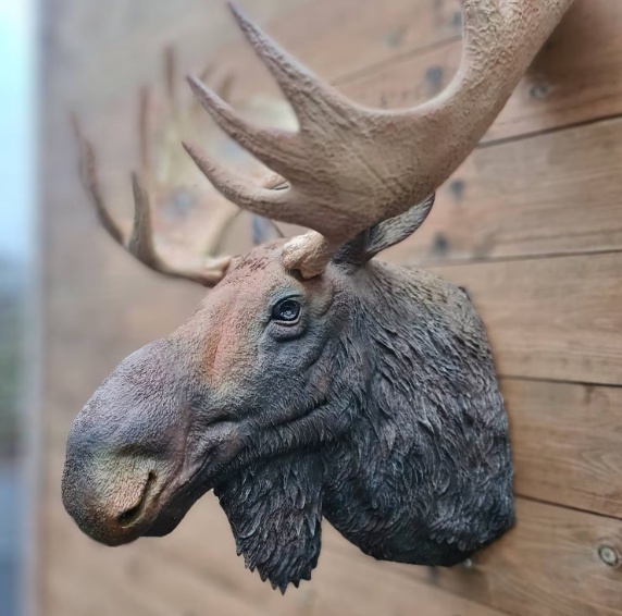 Styles and Customization Options