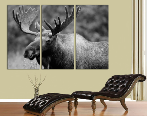 Styling Tips for Moose Canvas