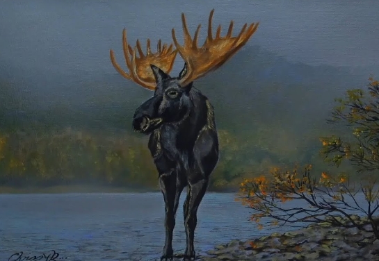 Techniques for Capturing Realism