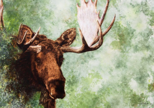  Techniques for Creating Moose Art