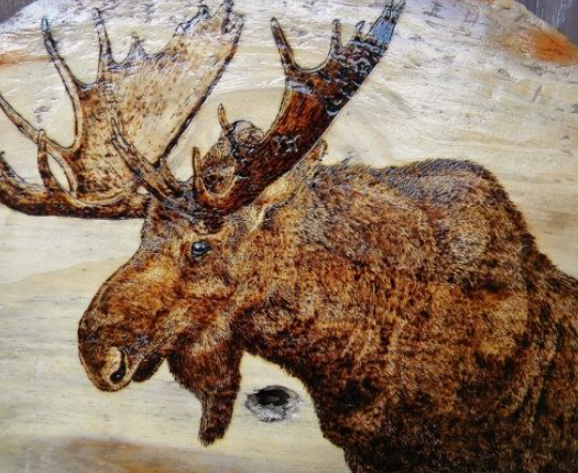 Techniques to Create Stunning Moose Art