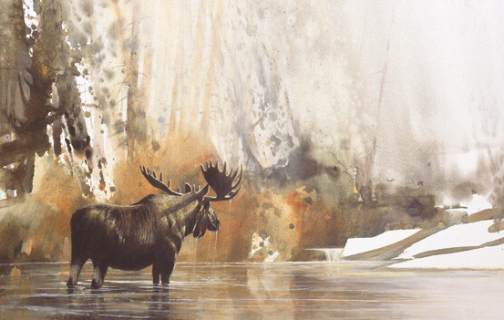 The Allure of Moose Imagery