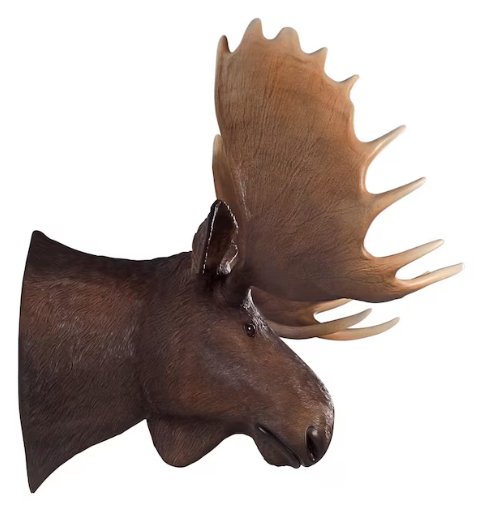 The Allure of the Resin Moose Head